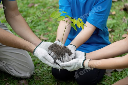 Preview: Family volunteers working together to plant a tree for environmental protection