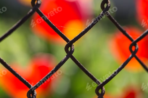 Preview: metallic fence on the background of flowers