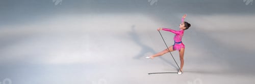 Preview: Rhythmic Gymnast in Pink Leotard Wide Banner