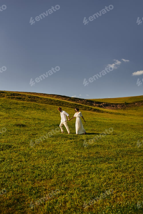 Preview: scenic landscape, just married couple walking in green field, young newlyweds in wedding gown