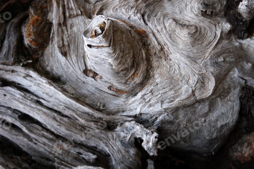 Preview: Tree