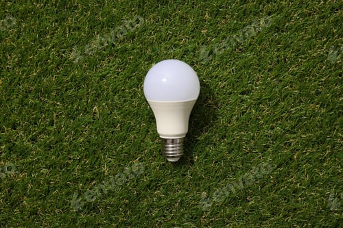 Preview: A light bulb on the grass, top view.