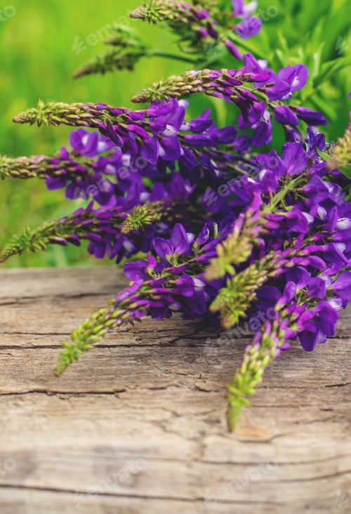 Preview: Horny goat wood extract alternative medicine. Selective Focus.