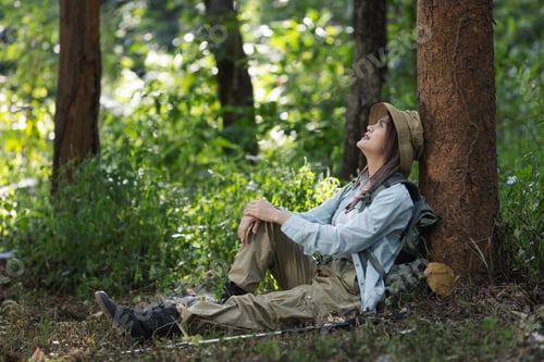 Preview: A female hiker sits under a tree in a lush forest, resting and enjoying the peaceful surroundings.