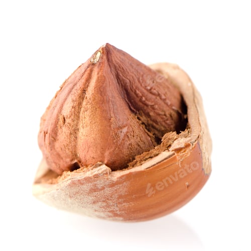 Preview: Cracked hazelnut