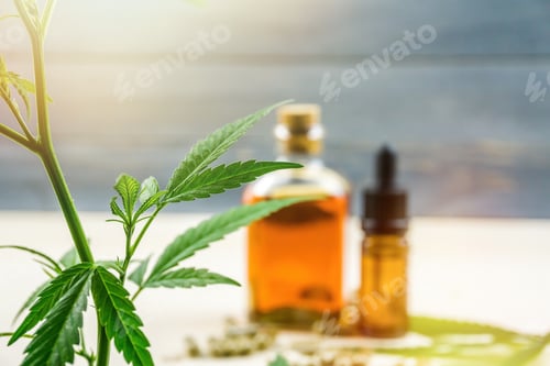 Preview: Cannabis Cbd oil products