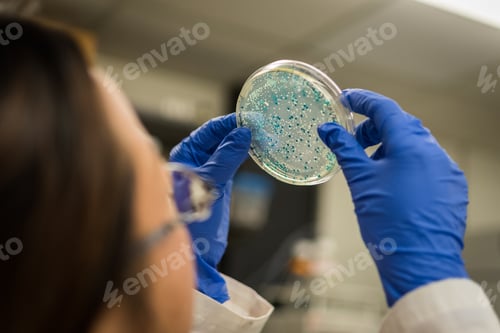 Preview: Examination of bacterial culture