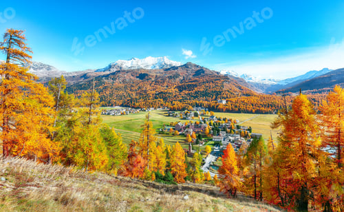 Preview: Fantastic autumn panorama over Sils im Engadin (Segl) village