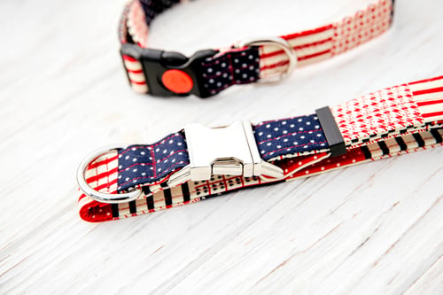 Preview: Dog Collar and Leash set. Pet Supplies and Walking Gear Collection