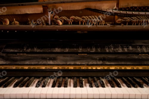 Preview: Close side view of shiny black and white piano keys with the reflection of the golden brass edge