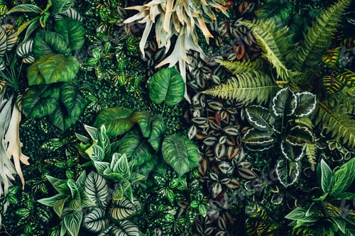 Preview: Close up group of background tropical green leaves texture and abstract background.
