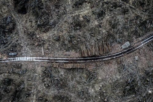 Preview: Aerial view of deforestation, environmental destruction in Poland