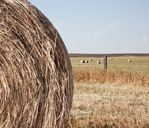 Preview: Circular Hay Bale