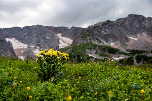 Preview: beautiful mountain landscape on a cloudy summer day