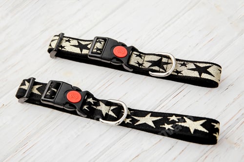 Preview: Dog Collar and Leash set. Pet Supplies and Walking Gear Collection