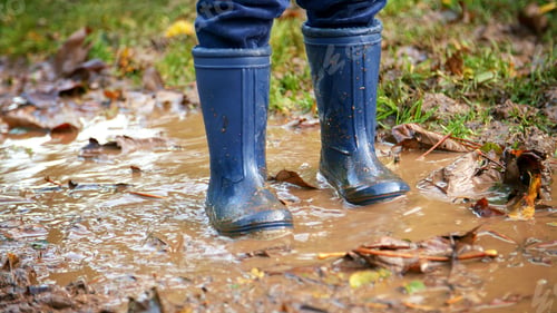 Preview: Close Up Of Child Wearing Wellington Boots Splashing In Puddle On Walk Through Autumn Countryside