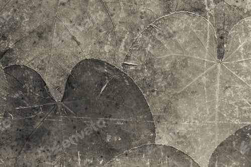 Preview: The Textured Background From Dried Leaves Of Beige Color And An Old Varnish Covering With Cracks