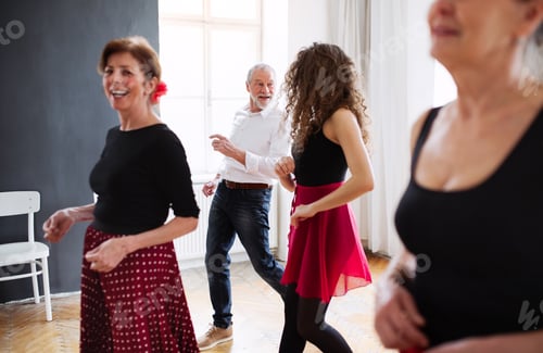 Preview: Group of senior people in dancing class with dance teacher