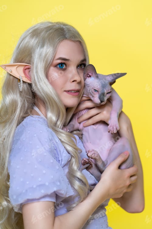 Preview: Cosplayer elf young blonde woman in blue dress with curly long hair hugging Sphinx cat to her chest