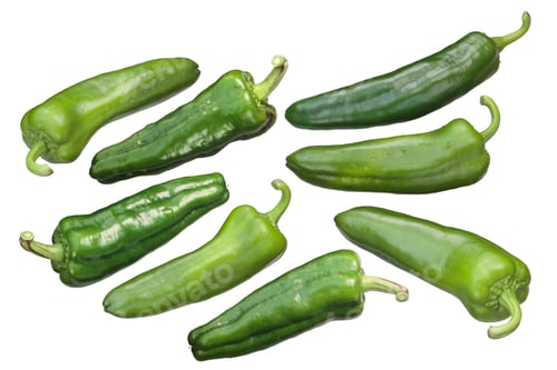 Preview: Green sweet chile peppers, paths