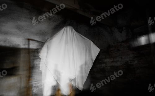 Preview: scary ghost in foggy night Halloween background