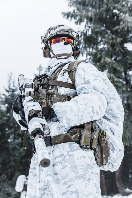 Preview: Winter arctic warfare