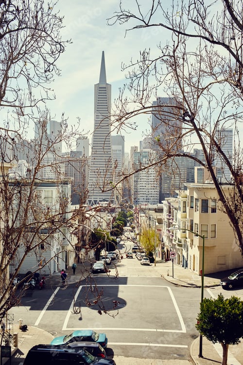 Preview: Transamerica Pyramid Center, San Francisco, California, USA