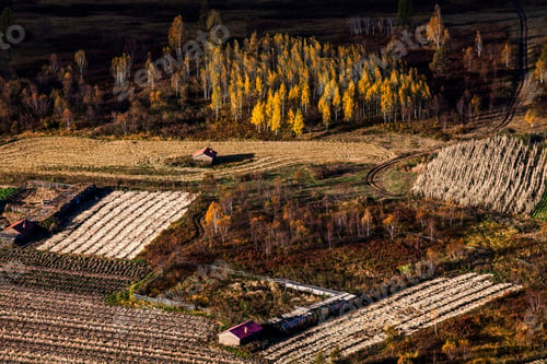 Preview: Field in autumn,China