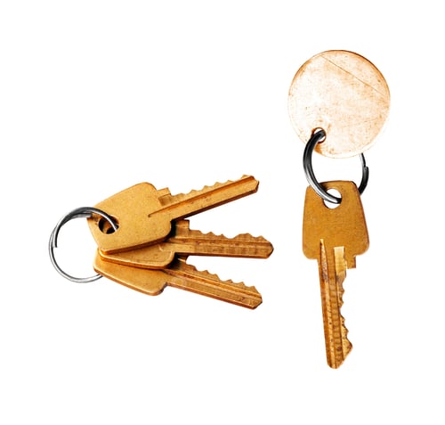 Preview: keys on a white background