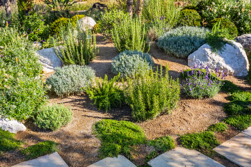 Preview: Backyard with fantastic landscaping, patio, drought resistant plants