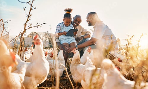 Preview: Family, chicken farm support and gay parents in countryside with sustainability, agriculture help a