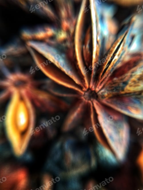 Preview: Star anise