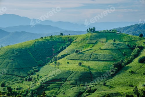 Preview: sunset in the mountains with green Terraced Rice Field in Chiangmai, Thailand