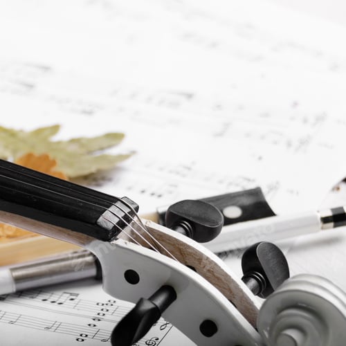 Preview: Close view of a white violin dry oak leaves and musical notes on