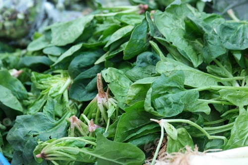Preview: Close up bunches of green fresh spinach leaves.