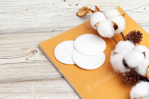 Preview: Branch with cotton flowers on wooden background