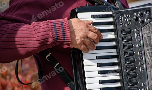 Preview: Close-up cropped image of man playing accordion