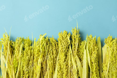 Preview: Hygge concept, dried flowers on blue background