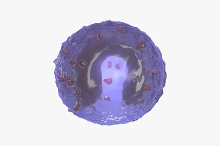 Visualização: Monócito detalhado: glóbulo branco