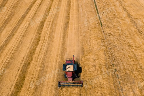 Preview: from above of agricultural combine harvests wheat in field