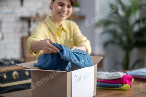 Preview: Focused contented female packing clothes for donation