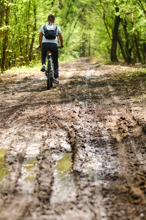Preview: A group of cyclists with backpacks ride bicycles on a forest road enjoying nature