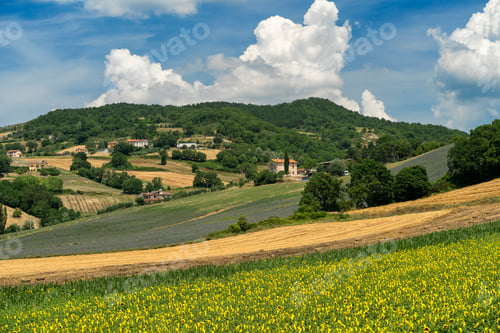 Preview: Rural landscape at summer near Gubbio, Italy