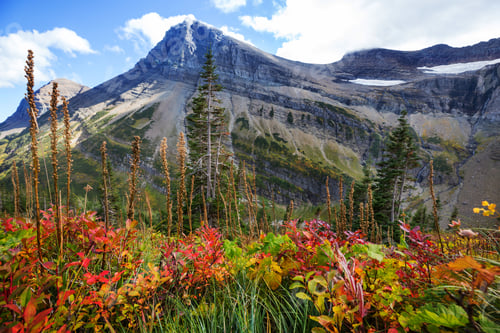 Preview: Glacier Park