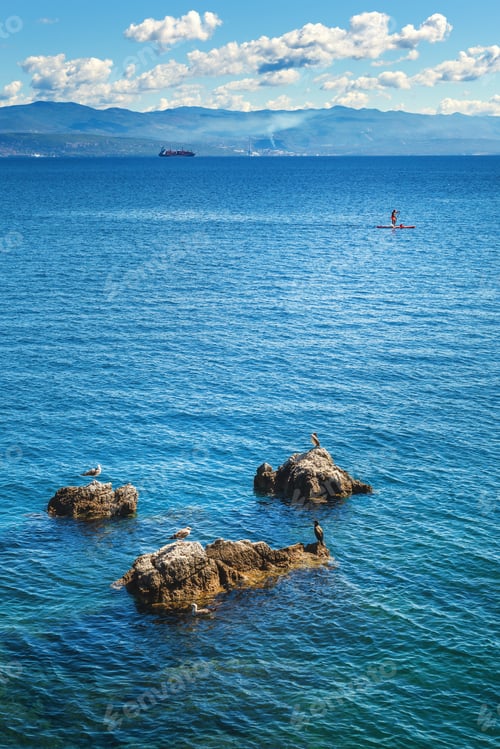 Preview: Kvarner gulf of Adriatic sea in Croatia, seagulls and cormorants resting on the rocks