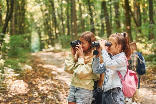 Preview: Front view of kids that is in green forest at summer daytime together