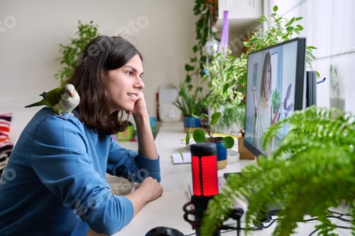 Preview: Online meeting of teenagers friends, guy with pet parrot at home talking to a female