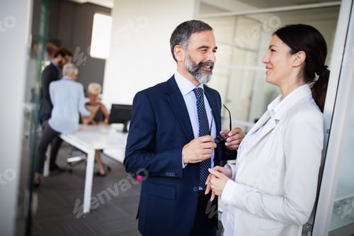 Preview: Businesswoman in an interview with a senior businessman