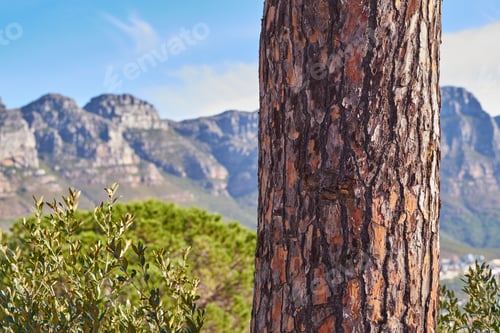 Preview: Trails of Table Mountain National Park