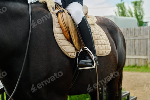 Preview: Equestrian Riding Saddle in Use with Skilled Rider